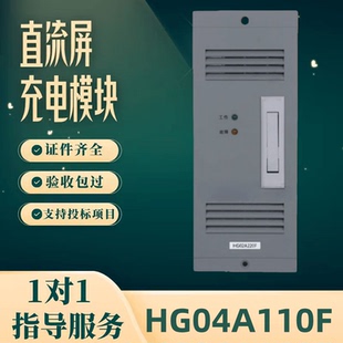 厂家直销 充电模块HG04A110F电力智能HG03A220F SPJK-110-3整流器
