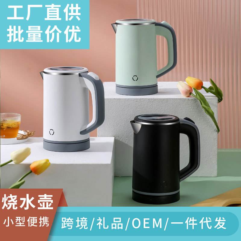 MOQ家用迷你小型电热水壶 304不锈钢欧美外贸110V美标烧水壶
