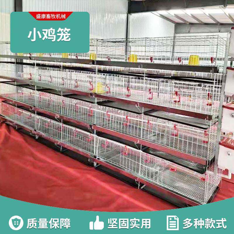 小鸡笼养殖场蛋鸡笼子家用鸡鸭特大号三层双边阶梯式镀锌铁丝笼