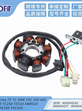 摩托定子线圈SM400RTC250TE510SMR510TE310TE2508000A42