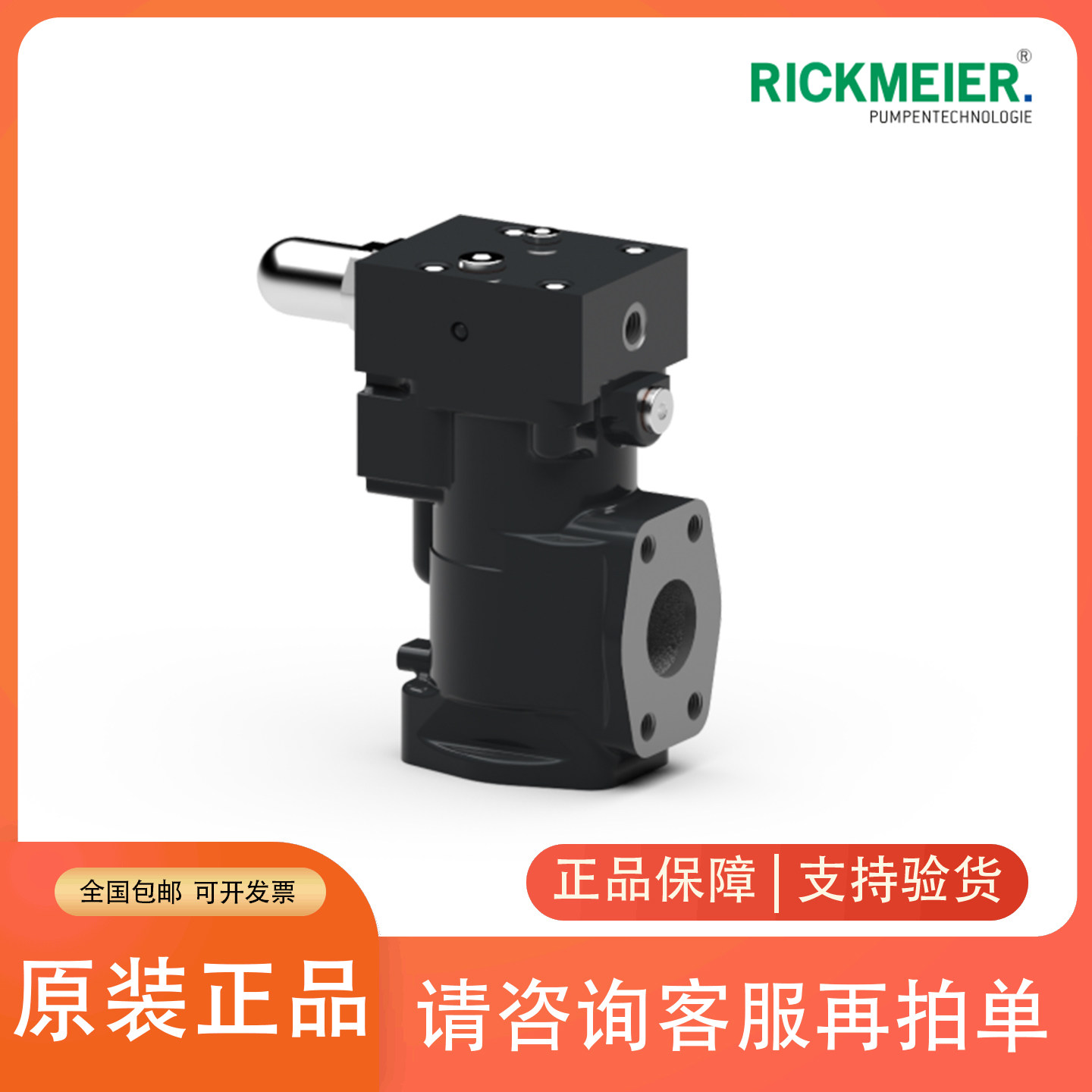 RICKMEIER水位计油泵R35/25 FL-Z-DB-R-SO燃油调驳泵瑞克梅尔泵 - 实物图