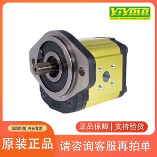 VIVOLO维沃尔齿轮泵X1P2002FZBB X1P2702FBBA X1P2502FJJA液压泵