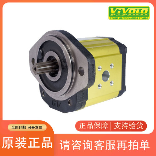 VIVOLO维沃尔齿轮泵X1P2002FZBB
