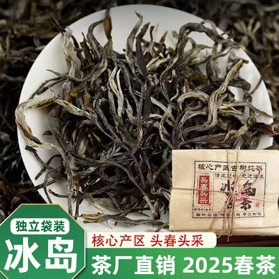 2025年新茶冰岛普洱茶生普散茶