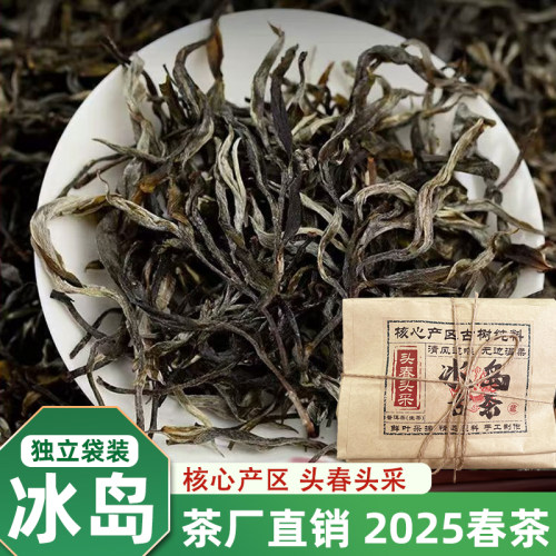 2025年新茶冰岛普洱茶生普散茶