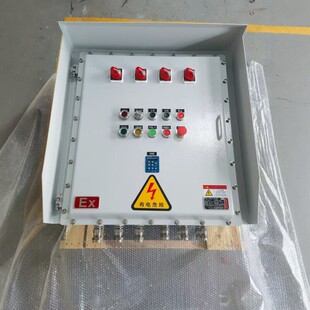 成套铸铝碳钢304不锈钢防爆箱配电装置控制接线柜开关按钮防雨罩