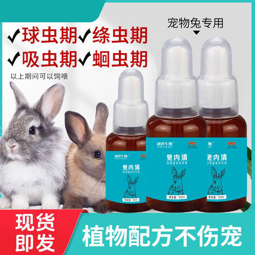 兔内清宠物兔榧子可球虫绦虫线虫吸虫期补充植物提取养兔子常备