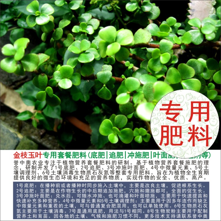 1-50斤玻璃翠金枝玉叶玉树专用肥完整全套肥料家用通用农用有机肥