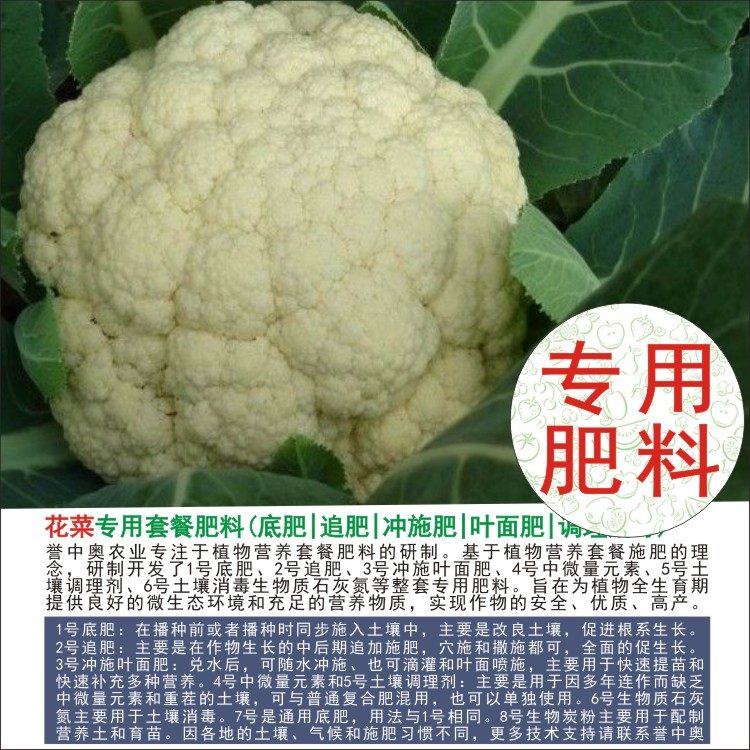 1斤花菜专用肥料有机肥复合肥叶面肥科研试验用肥阳台种植用肥,农用物资,有机肥,淘宝优惠券,粉丝福利购,淘宝优惠卷