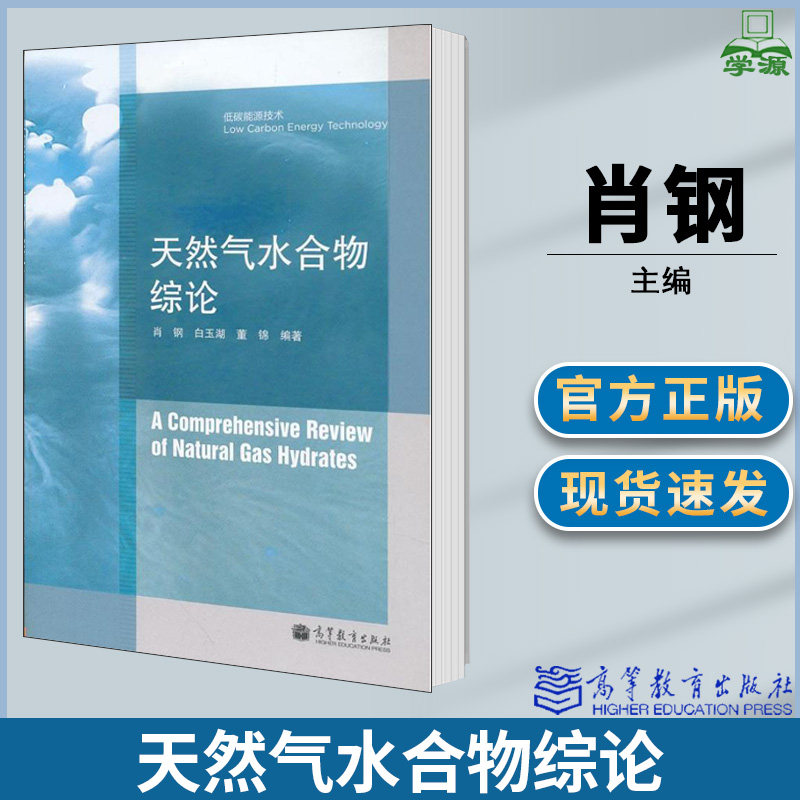 天然气水合物综论 肖钢白玉湖董锦 高等教育出版社 低碳能源技术 适合于从事新能源研究和开发的科技工作者参考用书属于什么档次？