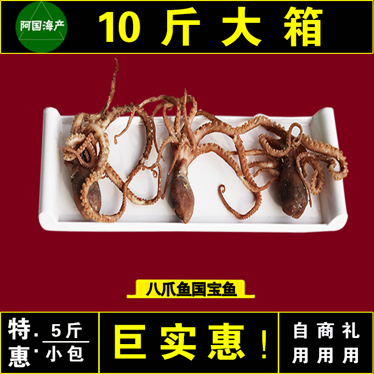 八爪鱼八代鱼熟鱼章鱼咸鱼乌贼
