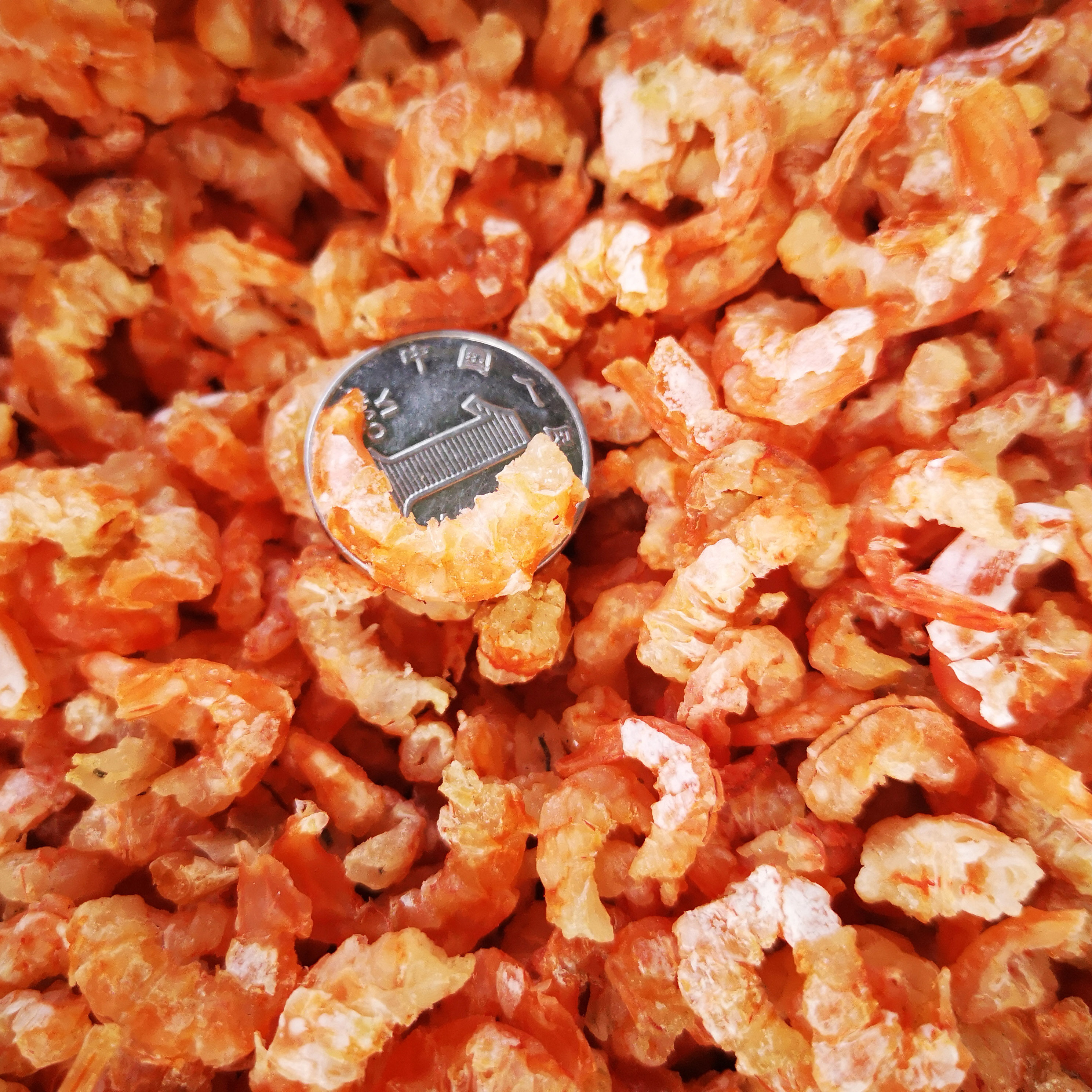 中号金钩海米特产虾仁干新鲜虾米开洋水产干货250g/500g真空包装