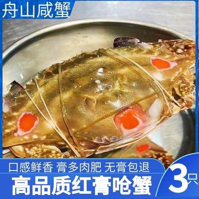 舟山咸蟹生腌蟹呛蟹红膏梭子蟹