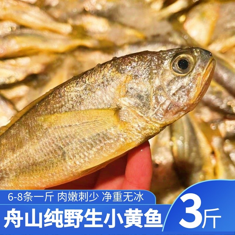 舟山野生流网海捕冰鲜小黄花鱼新鲜深海小黄鱼海鲜水产  3斤一份,水产肉类/新鲜蔬果/熟食,黄鱼,淘宝优惠券,粉丝福利购,淘宝优惠卷