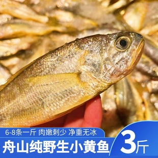舟山野生流网海捕冰鲜小黄花鱼新鲜深海小黄鱼海鲜水产  3斤一份