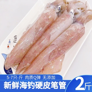 海钓鱿鱼 硬皮笔管籽乌 火箭鱿鱼 新鲜活冻小管鱿鱼