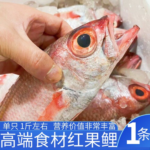 红果鲤深海鱼舟山海鲜
