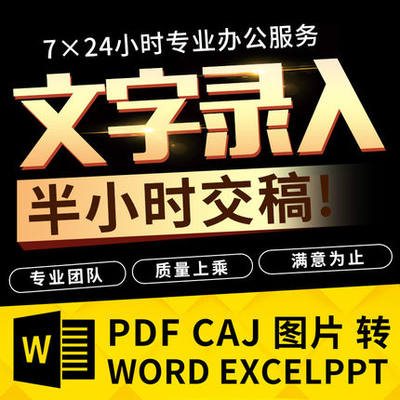 文字录入打字服务excel制作表格pdf转换word文章排版录音打字排版