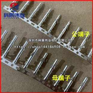 63080母端/公端6.3MM间距铜针 母针/公针连接器公母簧片 接线端子