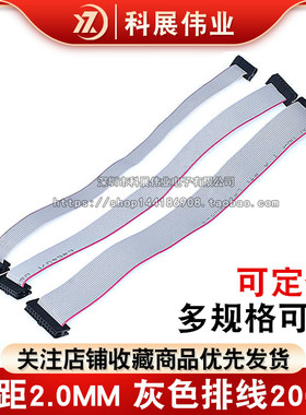 2.0mm灰色排线 LED下载连接线 IDC扁平FC压线头8/10/12/14/16/20P