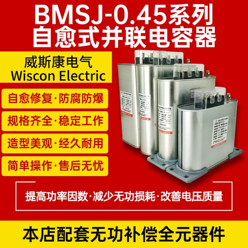 威斯康自愈式电容器BSMJ