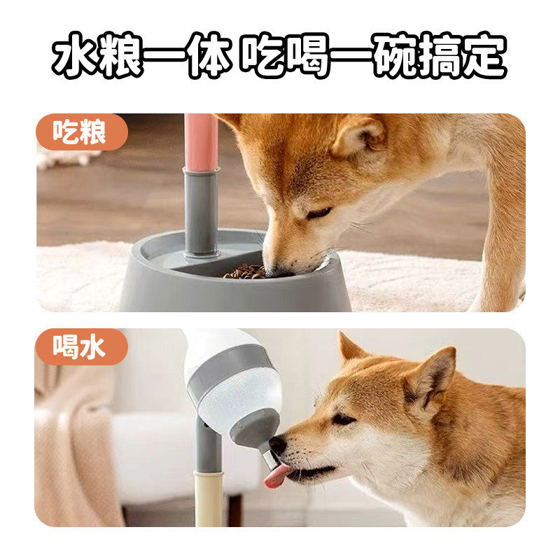 狗狗饮水机宠物喝水壶立