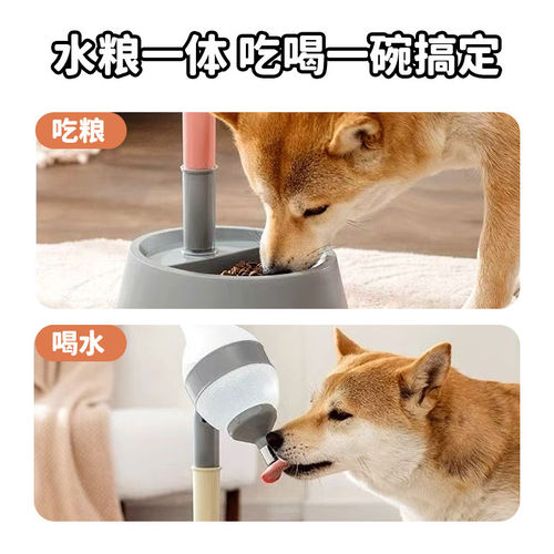 狗狗饮水机宠物喝水壶立
