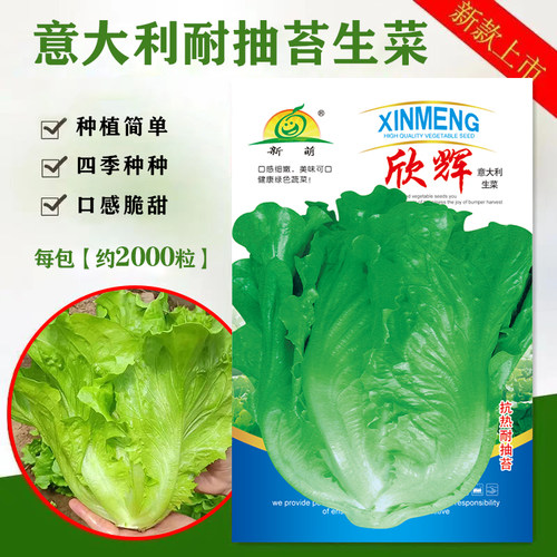 新萌意大利生菜种籽清脆爽口阳台盆栽四季种子菜园蔬菜籽种子