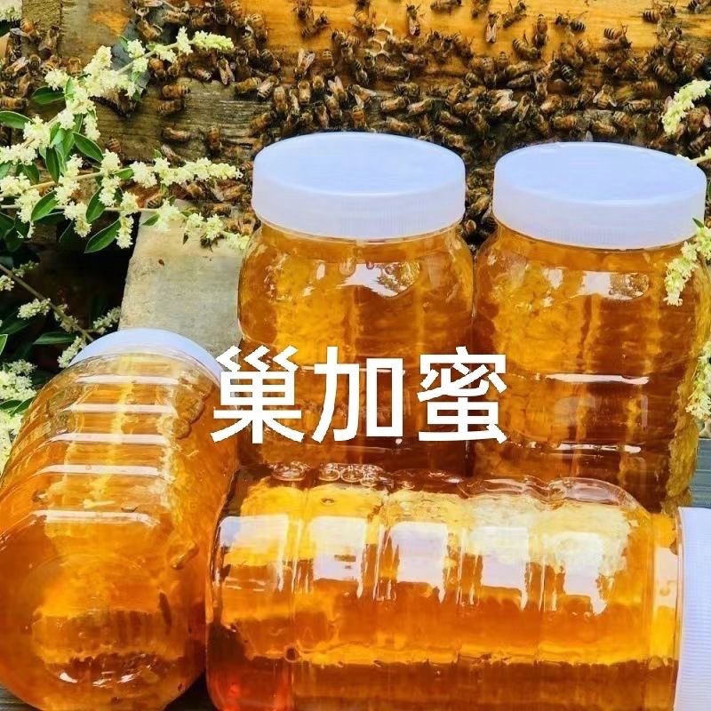 【2斤】瓶装蜂巢蜜嚼着吃的土蜂蜜农家自产土蜂蜜纯正天然蜂巢蜜