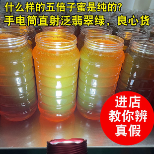 25新鲜深山五倍子蜂蜜 气血湿 蜂农自采纯净药花蜜 天然原蜜2斤装