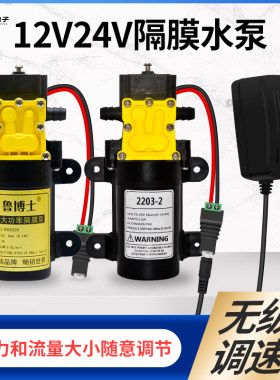直流12V24V隔膜泵喷雾器洗车机