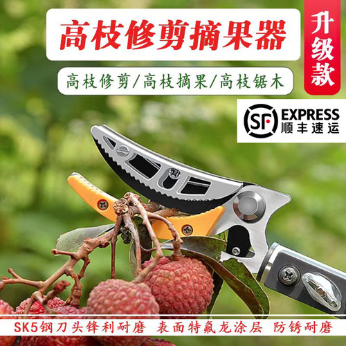 摘水果荔枝龙眼枇杷伸缩高空