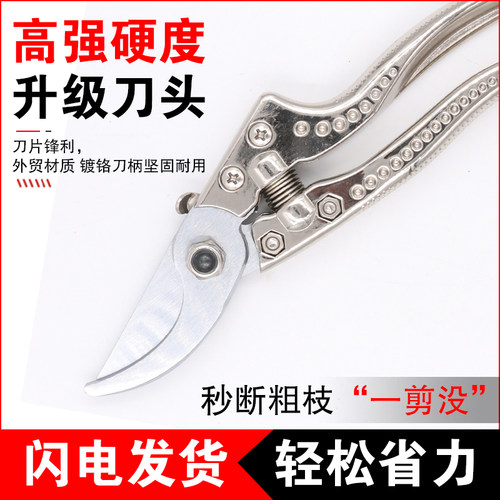 新款原装日本SK5进口剪刀果树大号强力修枝园艺花卉剪剪树枝剪子