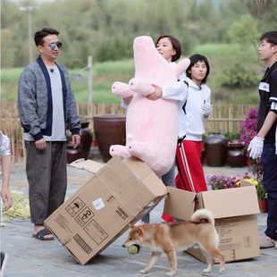 同款 猪猪沙发抱枕玩具榻榻米儿童座椅小猪坐榻治愈公仔娃娃