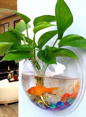 亚克力墙壁水培绿萝花