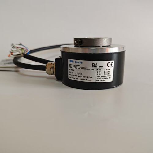 全新BaumerTDP0,2LT-4