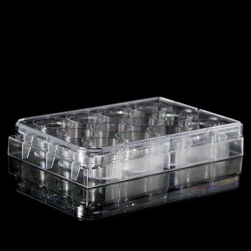 5Pcs Polystyrene 12 Well Petri Dishes Culture Dish 12 - Hol
