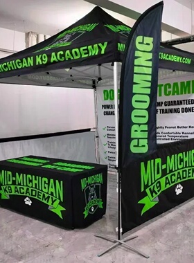 TB Outdoor Folding Gazebo 10x10ft Advertising Tents Roof Ox