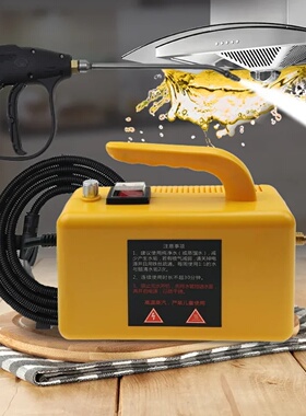 110V/220V plug 2600W Household Electric Steam Cleaner 2600W
