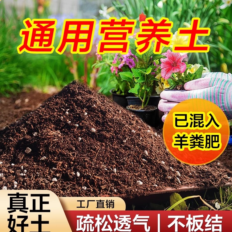 营养土养花专用有机种菜通用土壤