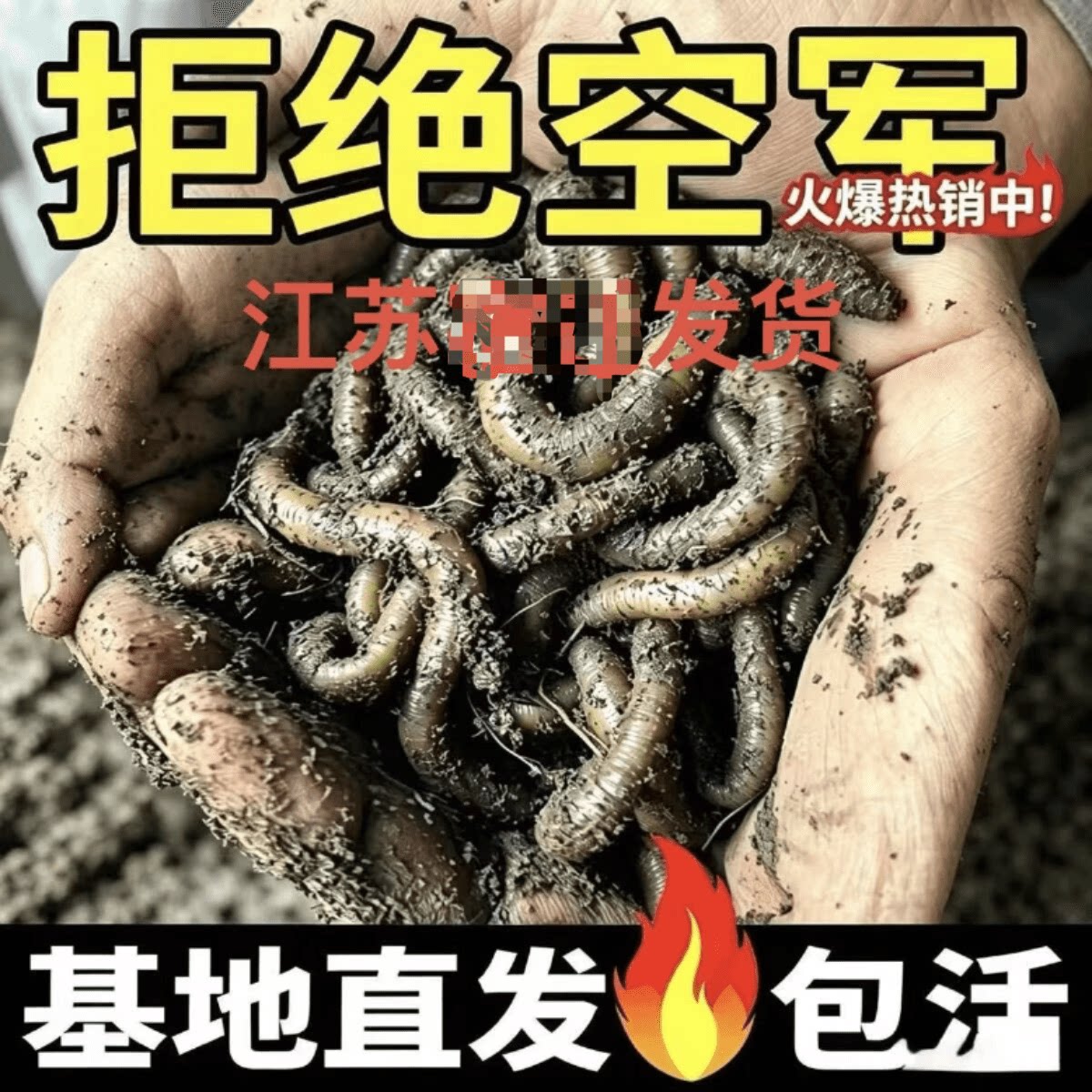 活体鱼饵黄鳝诱饵青黑蚯蚓图片