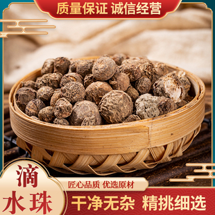 滴水珠中药材 野生正品 一粒珠石半夏独叶一枝花一滴珠 500克包邮