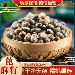 蓖麻子 蓖麻籽中药材新鲜干货500g包邮大粒 蓖麻籽种子 红大麻子
