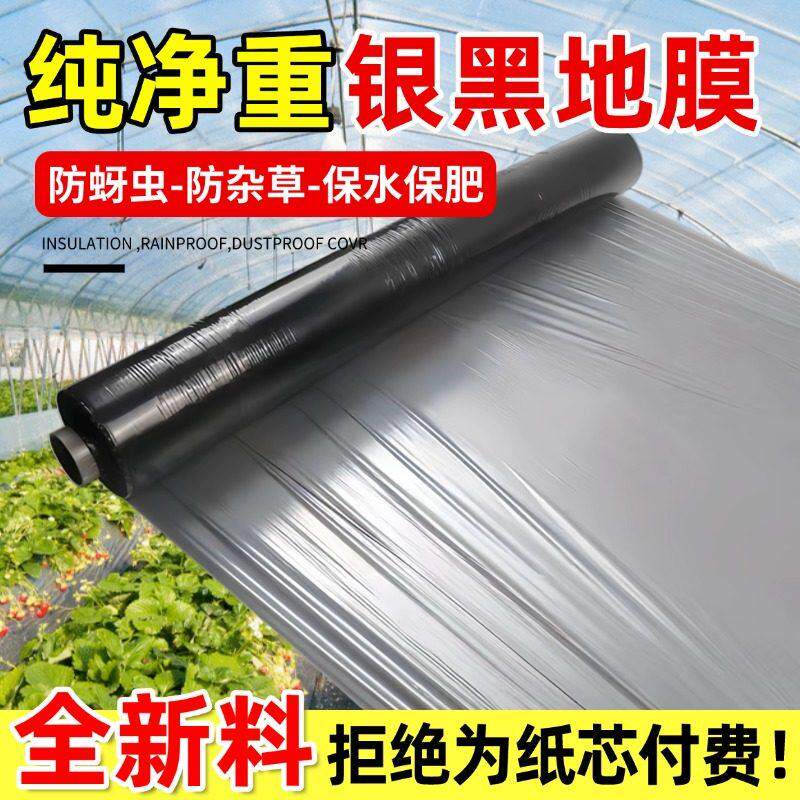 银黑双色地膜净重地膜加厚防虫反农用薄膜