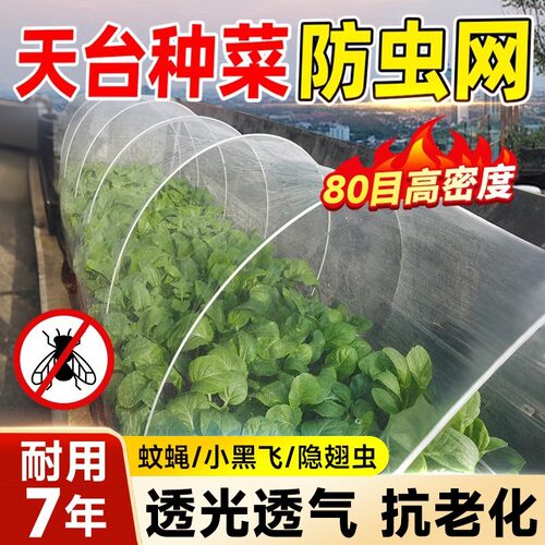 纱网防虫网种菜专用大棚80目加密加厚农用种菜防鸟养殖场纱门纱窗