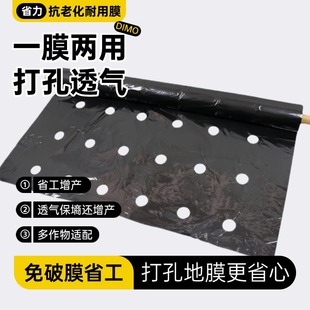 定制打孔黑地膜农用种植种菜专用防草辣椒莴笋药材保温塑料膜保湿