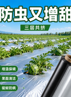 西瓜专用双色反光银黑地膜驱虫防草保温加厚种菜薄膜农用种植