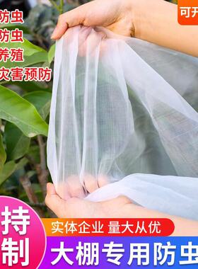 纱网防虫网大棚专用农用养殖网蔬菜网蝗虫果树果园种菜专用防虫网