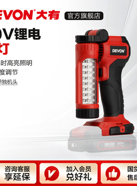 大有20V锂电充电式挂灯5521家用野营LED照明灯40小时续航垂钓灯