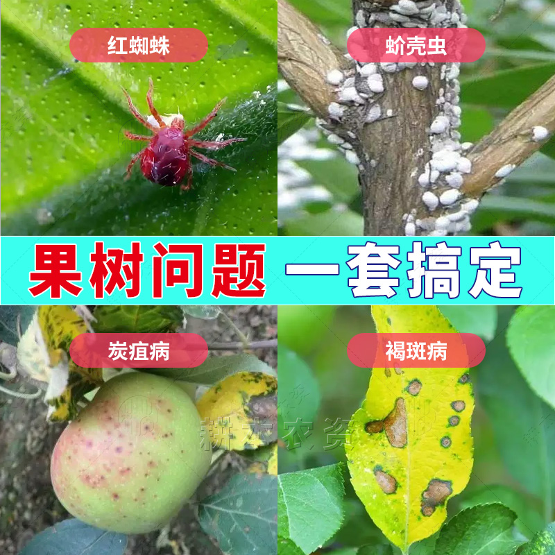 果树病虫害常用药套装蚜虫红蜘蛛介蚧壳虫杀虫剂褐斑炭疽病专用药